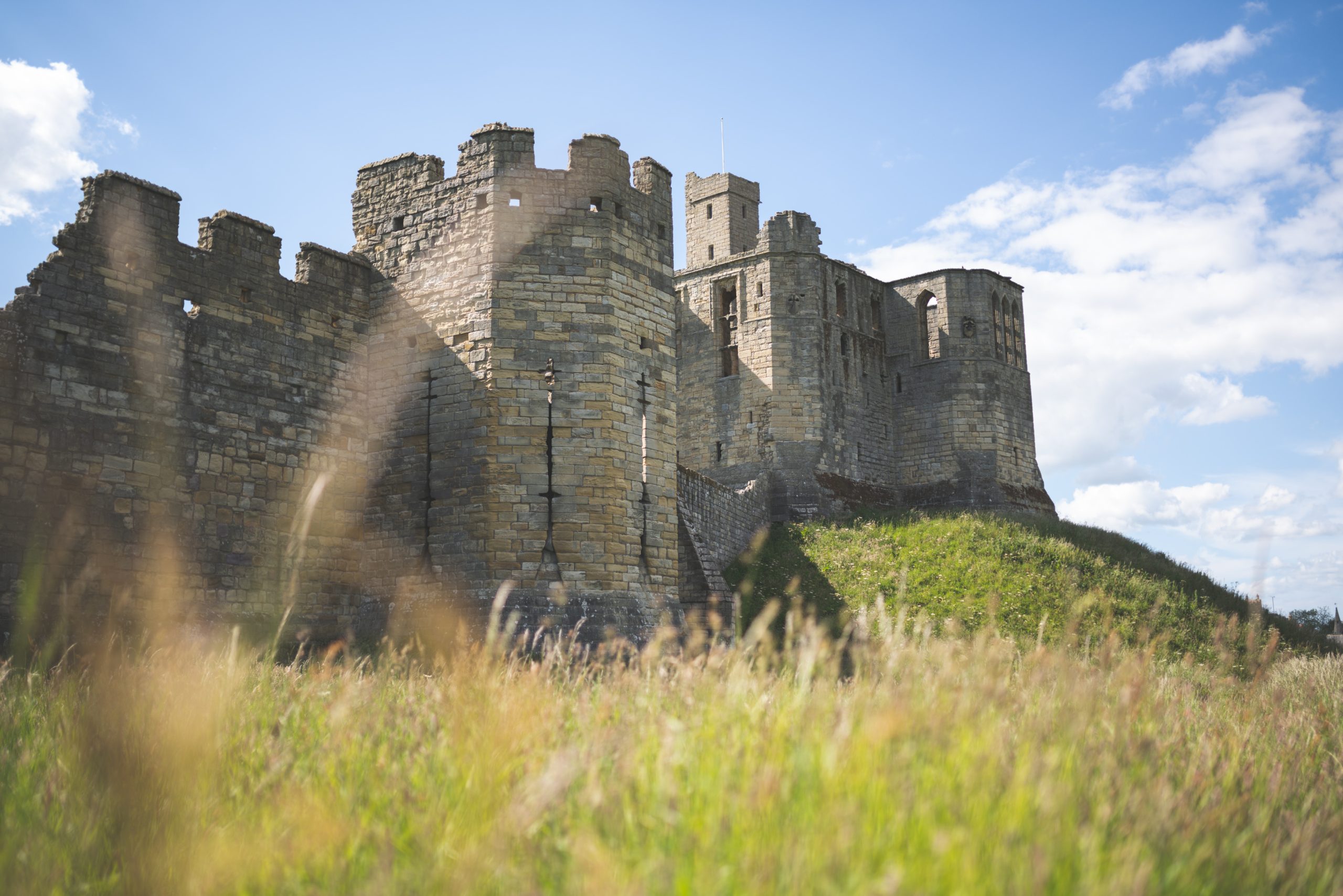 Lights, Camera, Opportunity