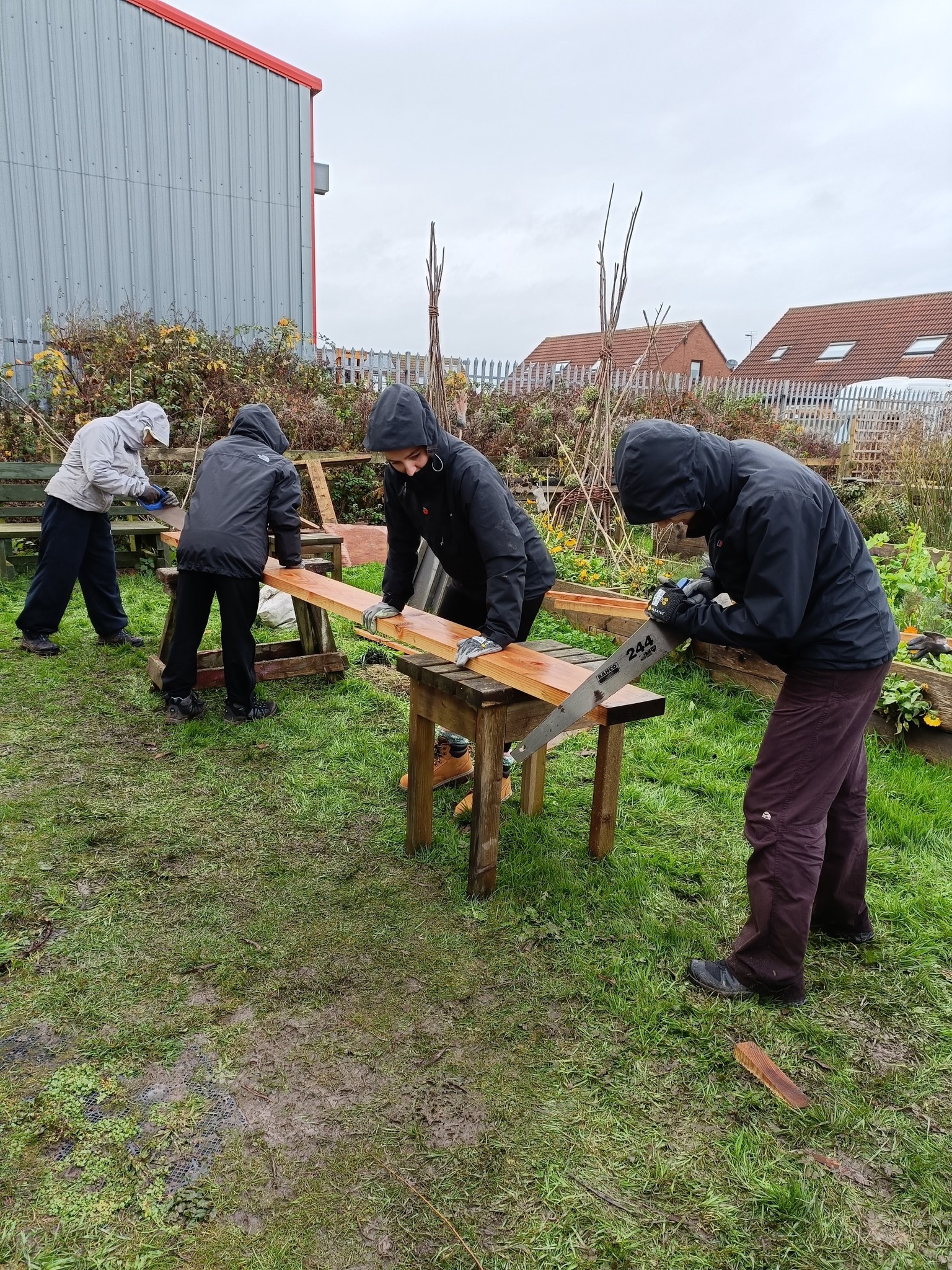 Voluntary and Community Projects Celebrate Impact Across South East Northumberland